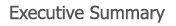 Executive Summary